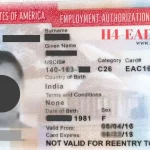 USCIS i539 Form Validate & Auto fill- FREE Edits