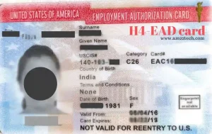 USCIS EAD form online