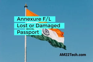 Annexure F lost or damaged passport