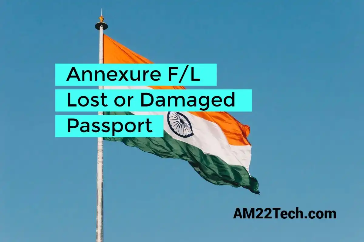 Indian Passport Affidavit Validation